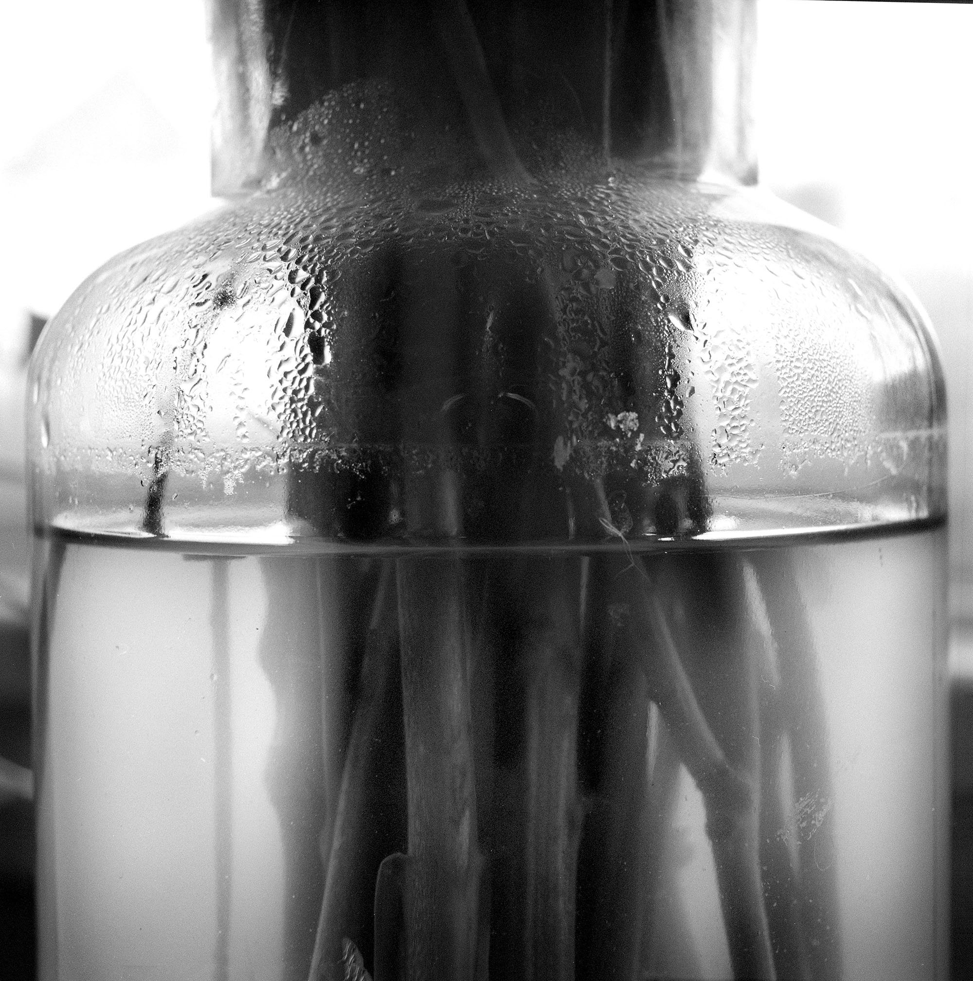 Water Vase