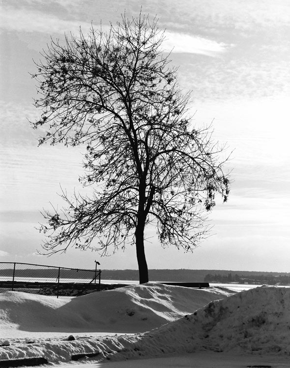 Waterfront, Barrie, Ontario, Canada.  COLD!
