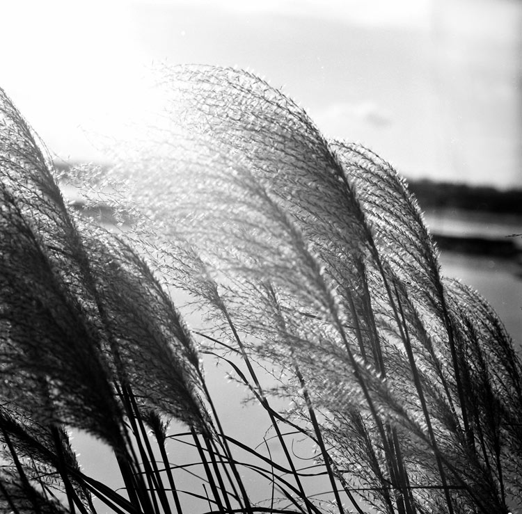 Waterfront, Barrie, Ontario, Canada