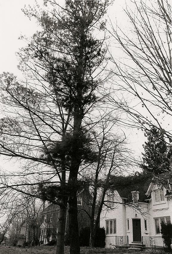 Waterloo houses