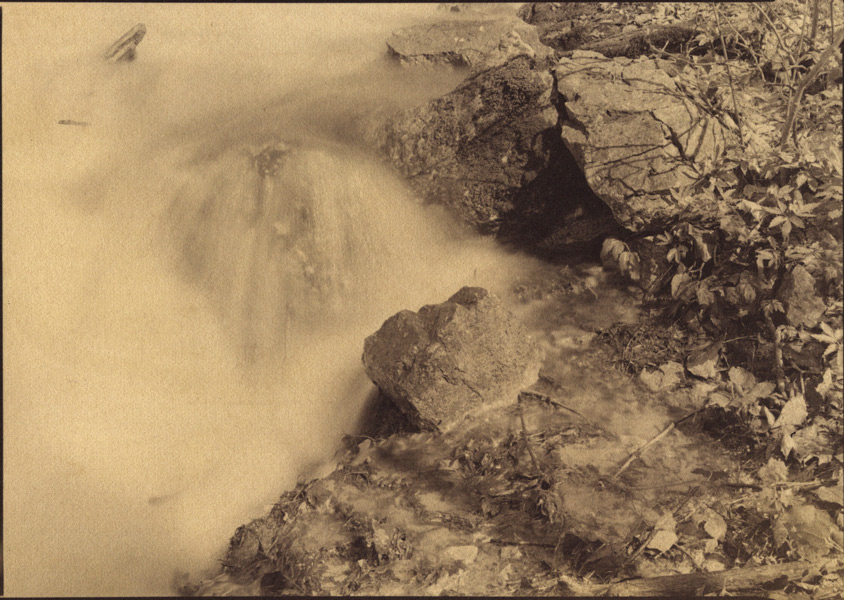 Water's Edge