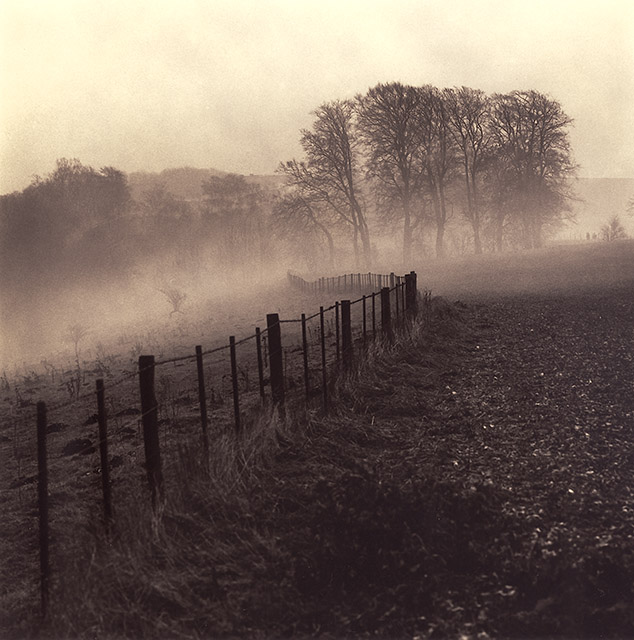 Watership Down