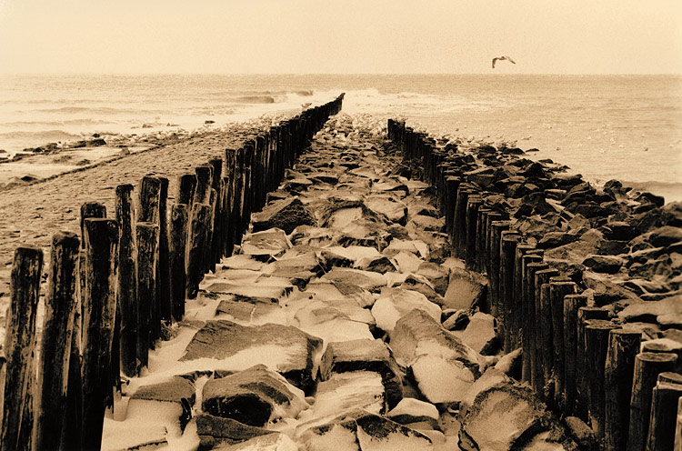 Waterside Vlieland - De Meeuw
