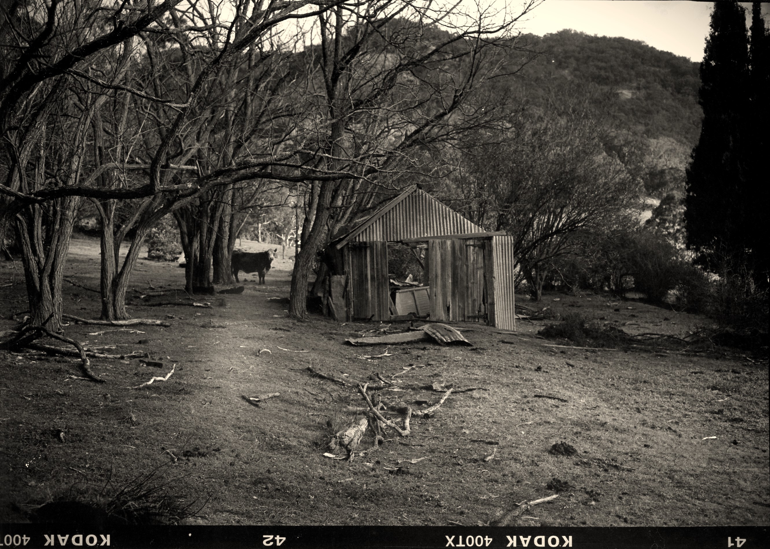 Wattle Creek Station