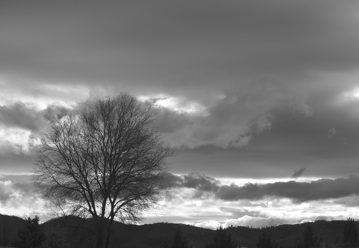 Weather