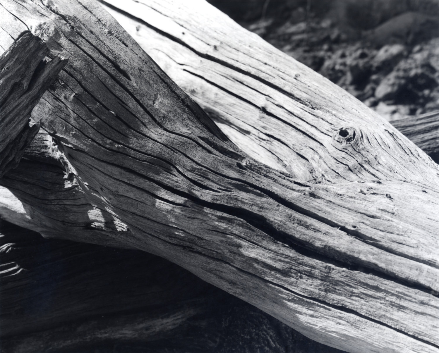 Weathered wood