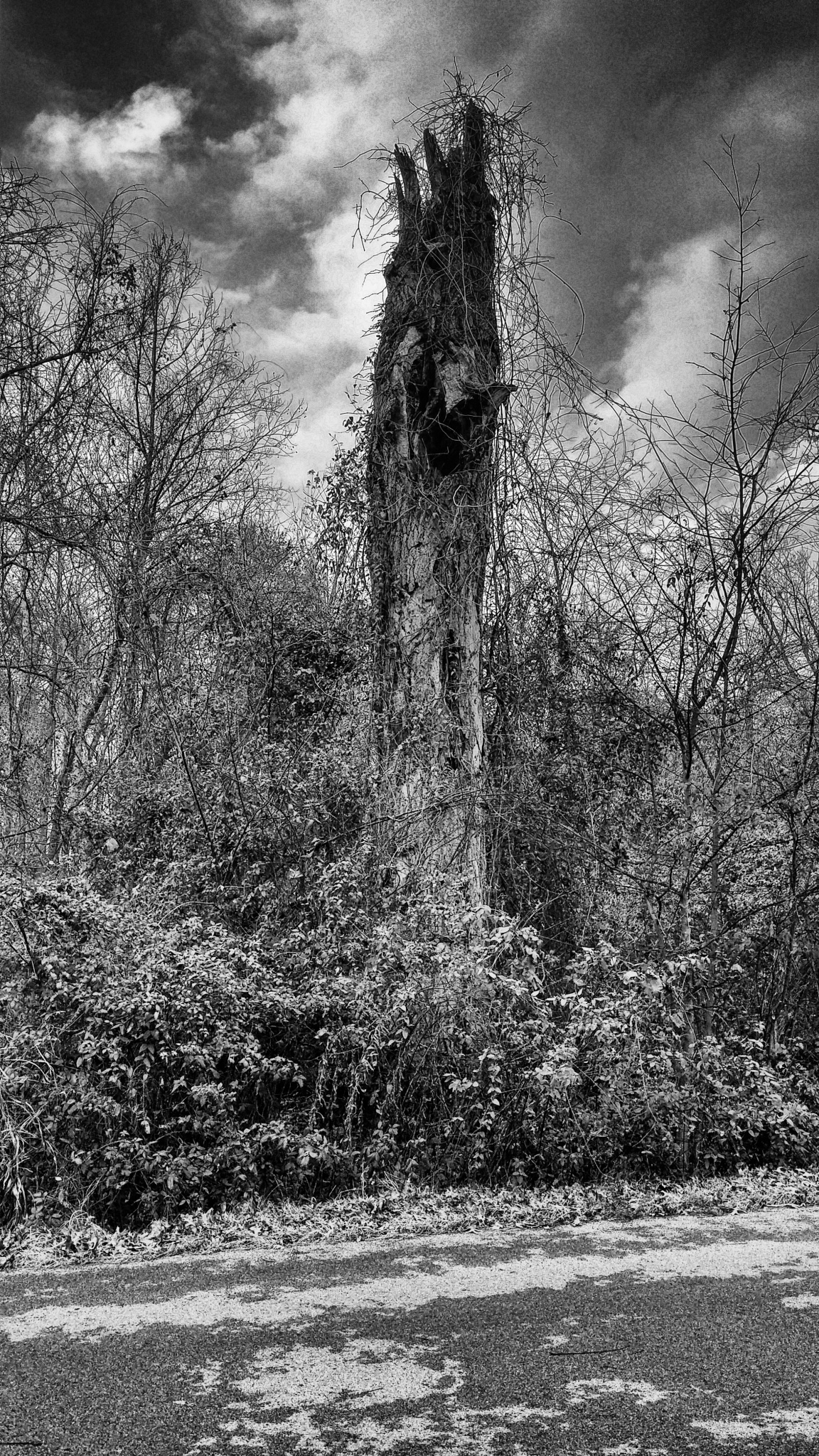 Weathering The Storm