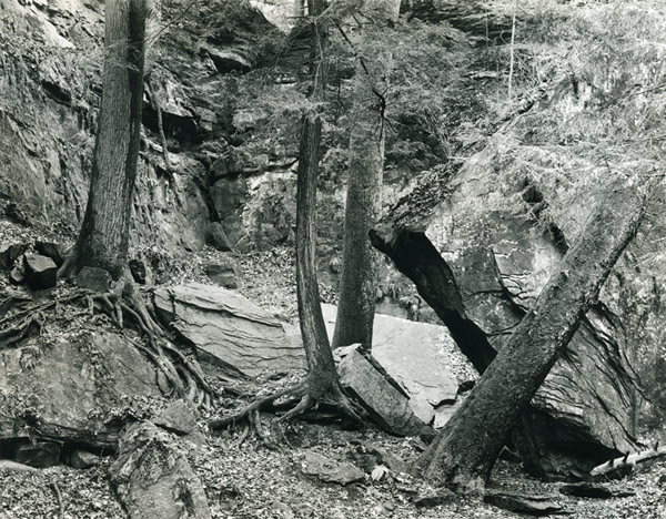 Wedge Rock Canyon