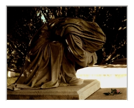 Weeping Willow, Hollywood Cemetery, Richmond