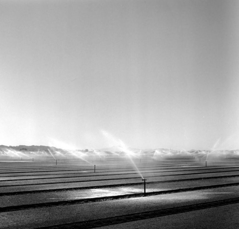 Wellton, Arizona