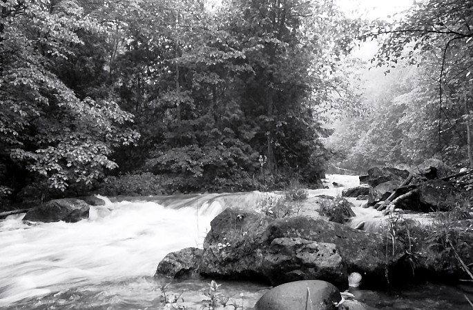 West Credit River-Fast Water