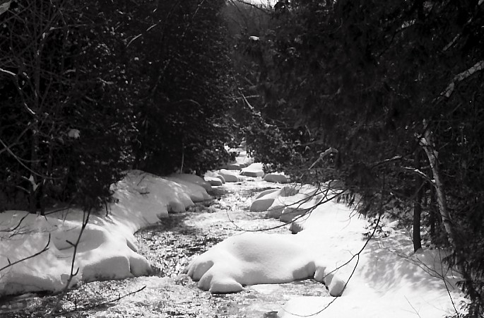 West Credit River