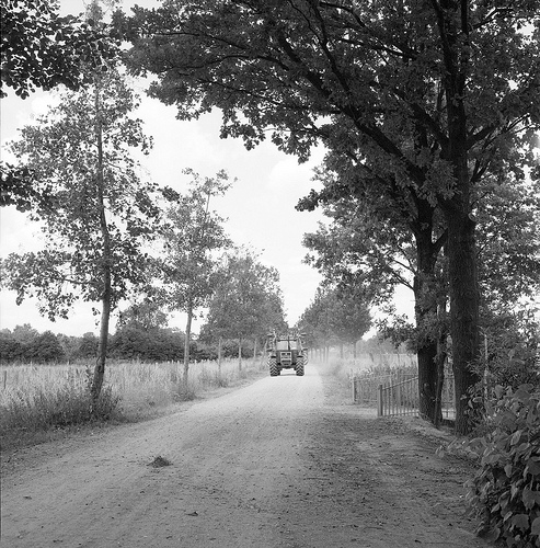 Westerhoven