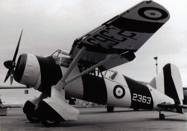 Westland Lysander