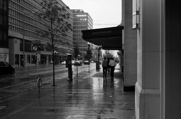 Wet Morning