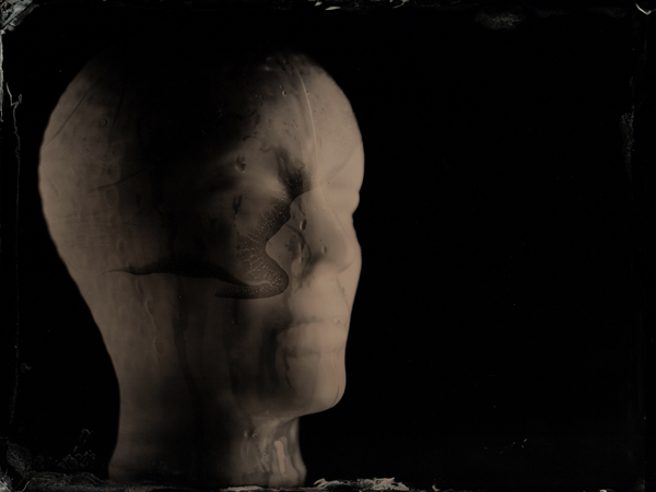 Wet Plate Collodion BGA 8x10