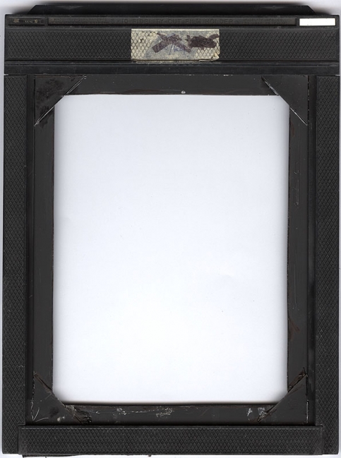 wet plate holder conversion