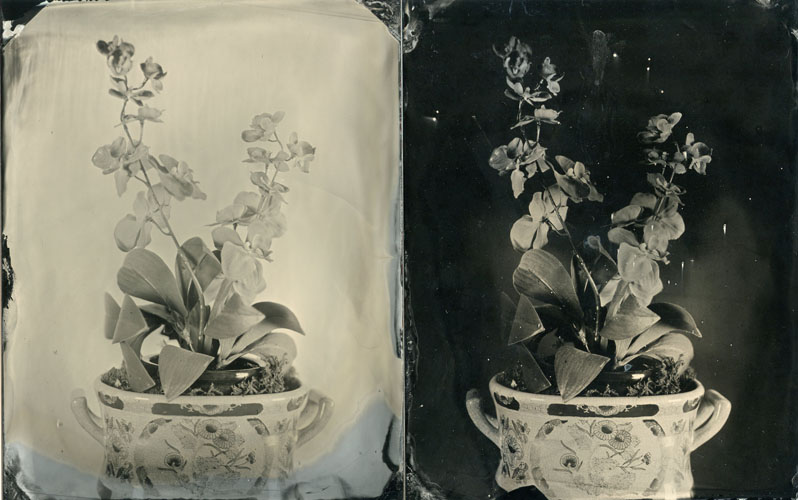 Wet plate project