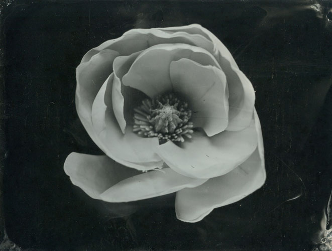 Wet plate project