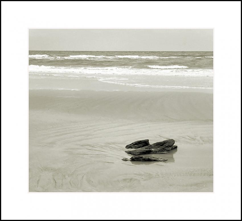 Wet Sand and Coquina Rock