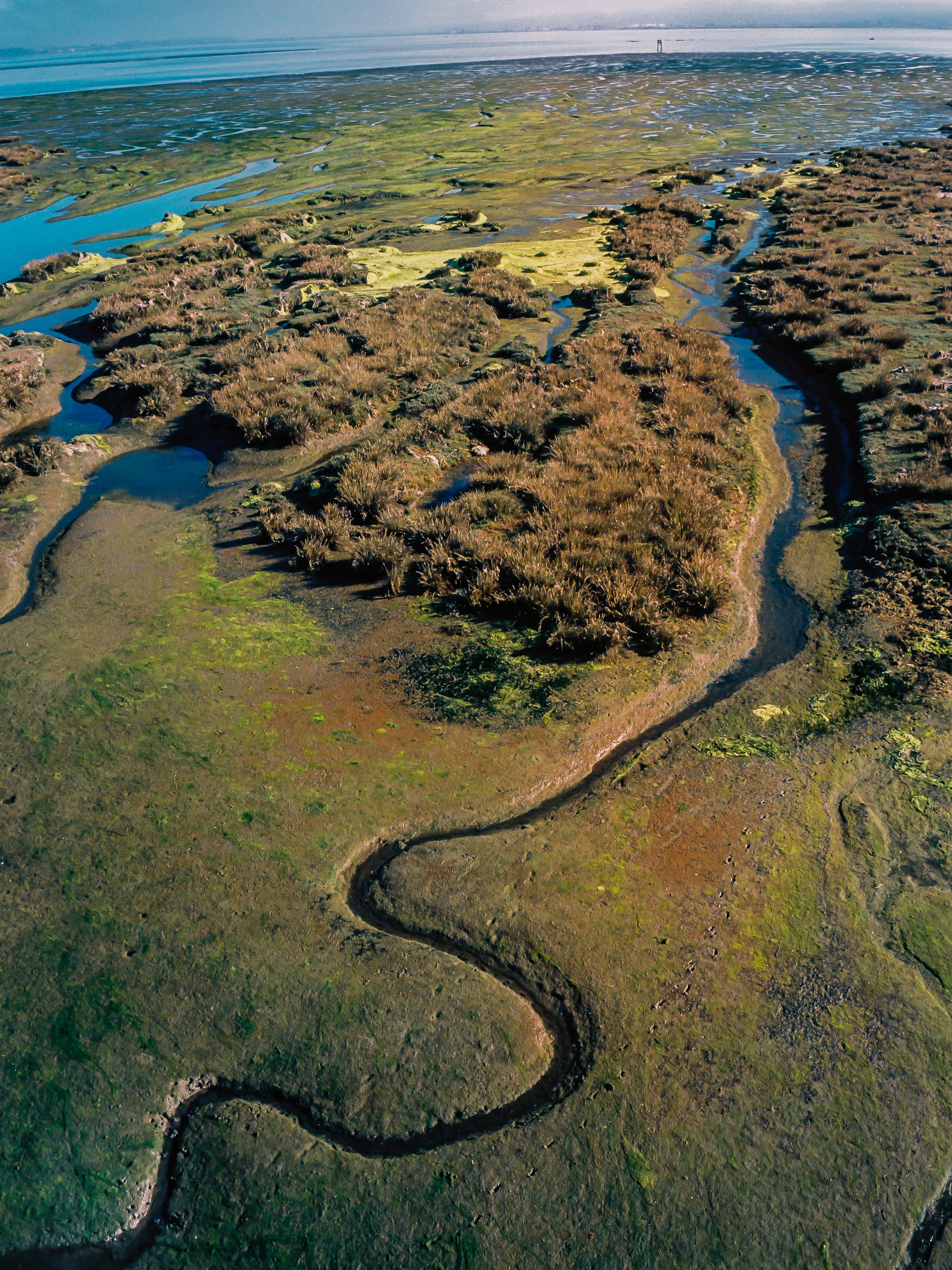 Wetlands