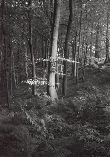 Whatstandwell,Derbyshire,1991