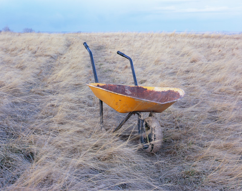 Wheelbarrow - found object in colour