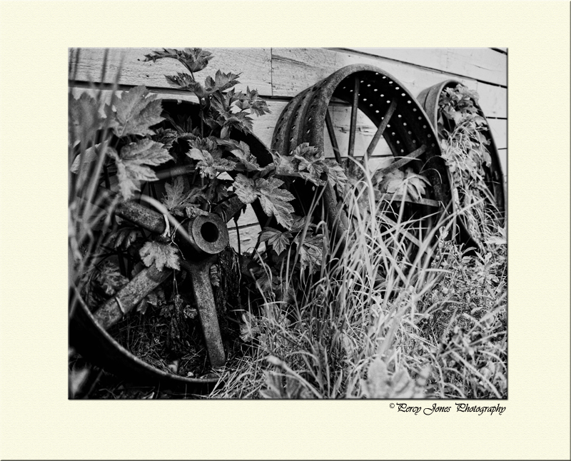 Wheels of Misfortune