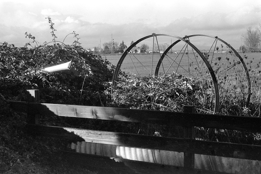 Wheels Pipe and Thorns