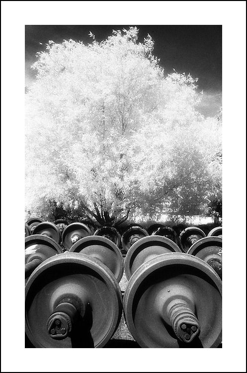 Wheels & Trees