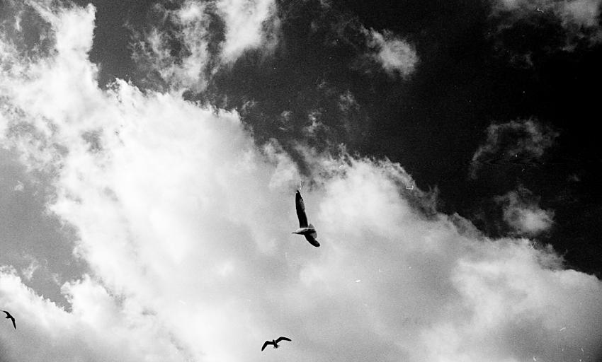 When can we fly.