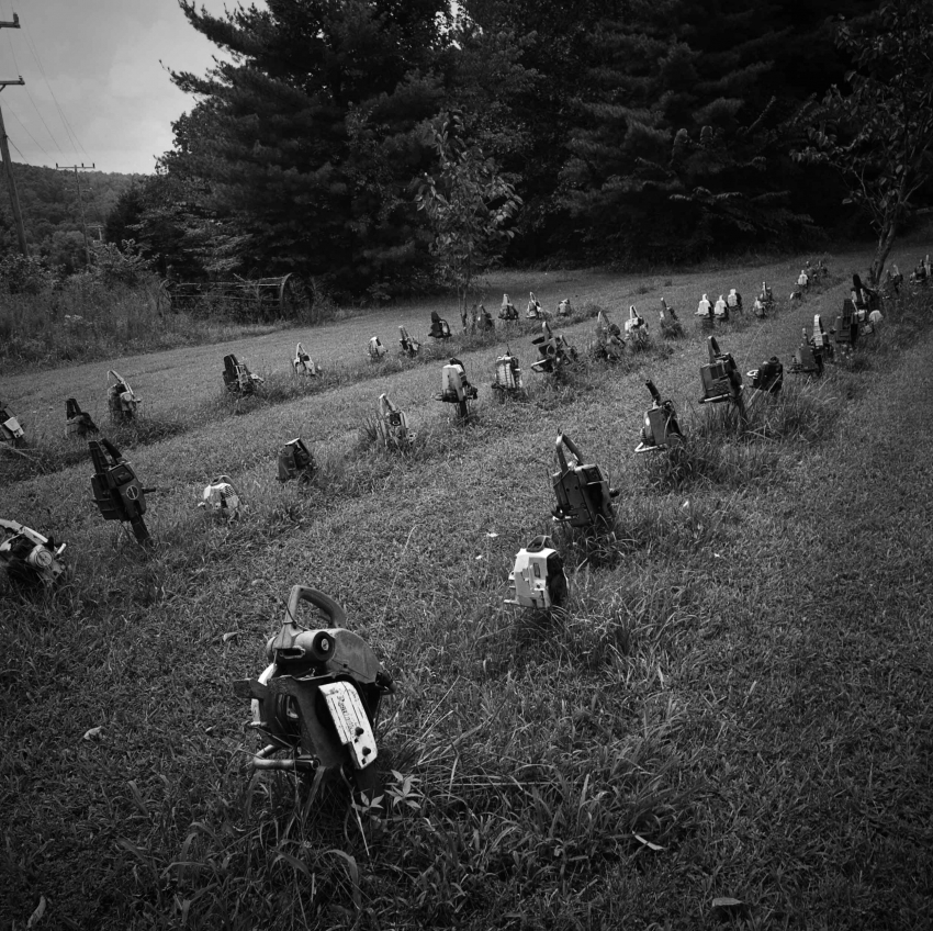 Where a chainsaw goes to die.