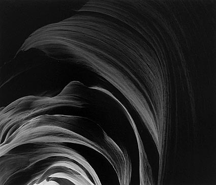 Where Light Goes To Play, Study #4