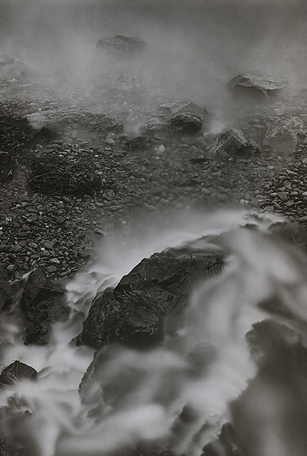 Where the River Meets the Sea