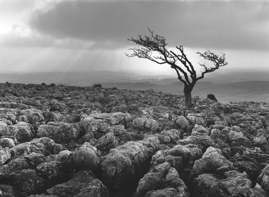 Whernside, N.Yorkshire