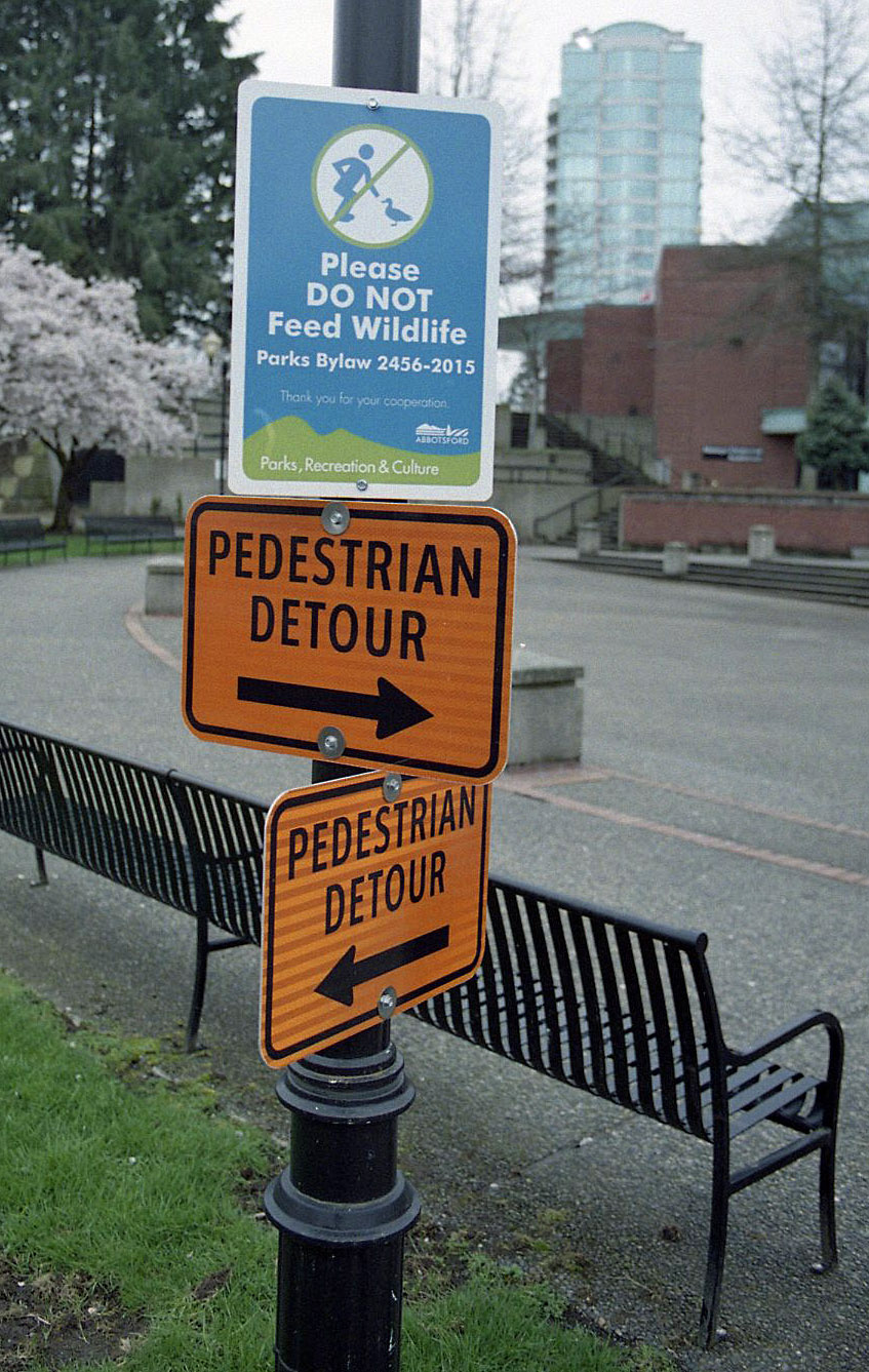 Which Way?