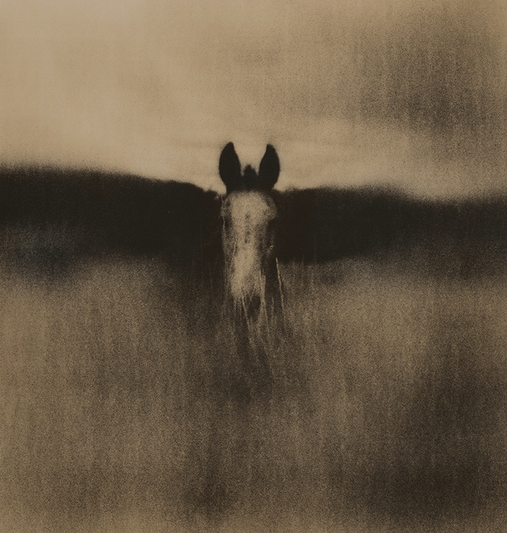 Whisper