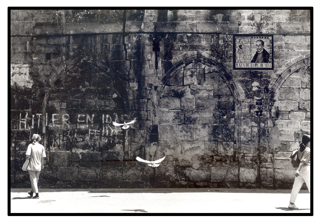 White Doves of Peace