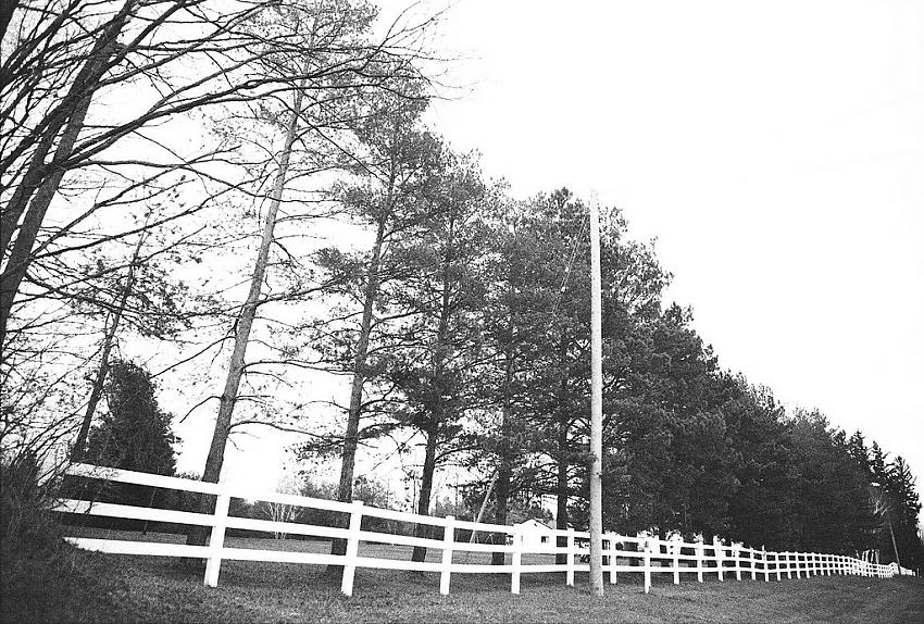 White fence