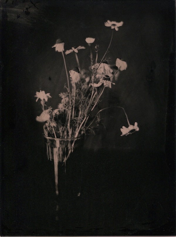 White Flowers In A Glass II
