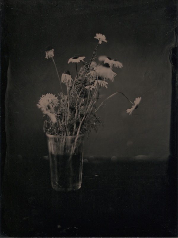 White Flowers In A Glass