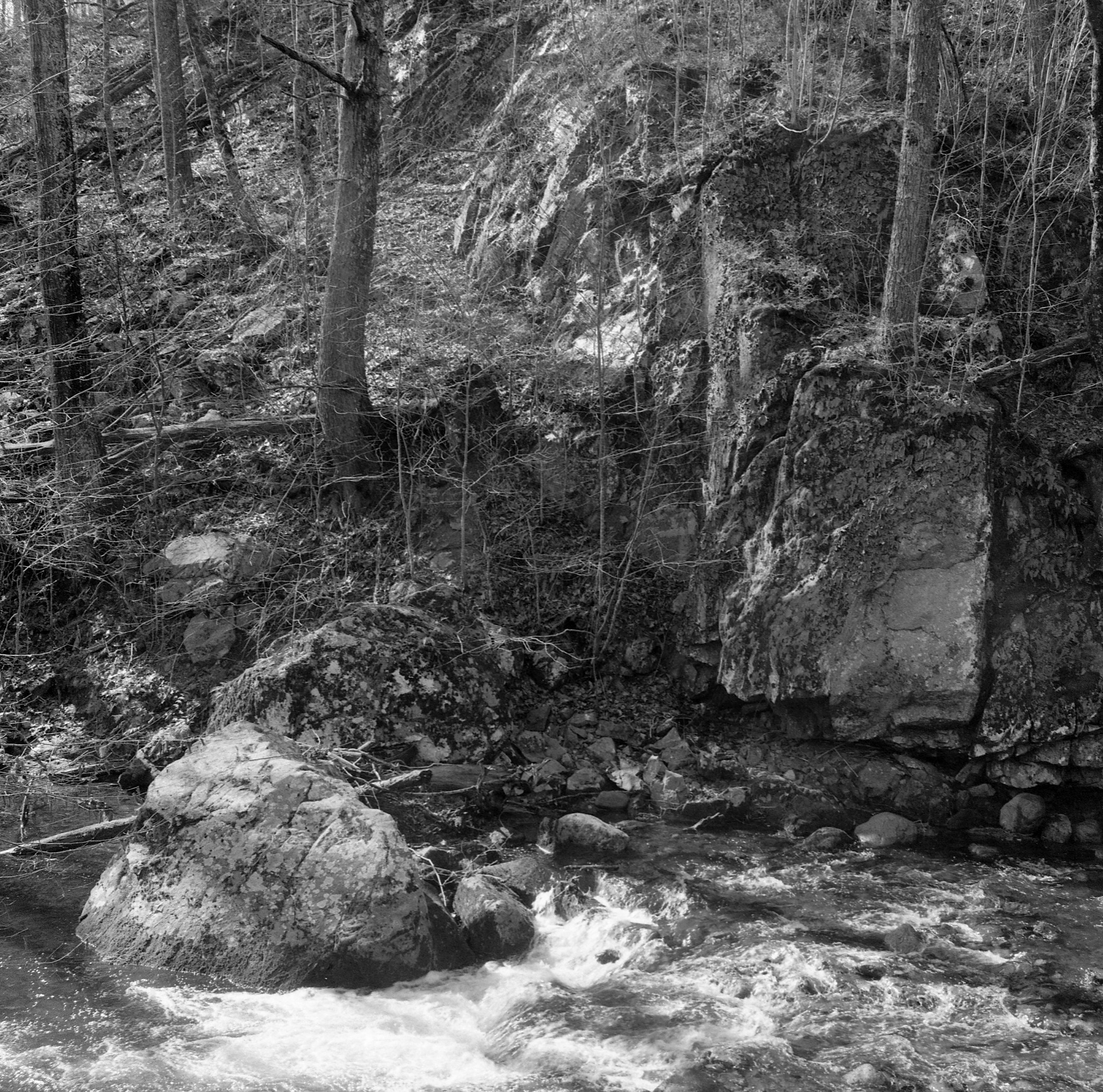 White Oak Canyon