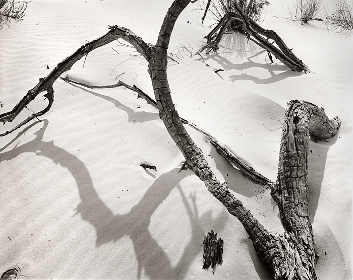 White Sands