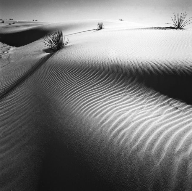 white sands