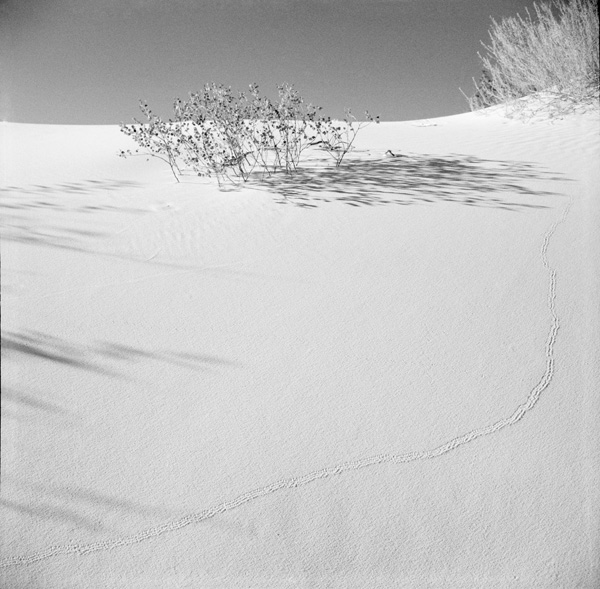 WhiteSands19