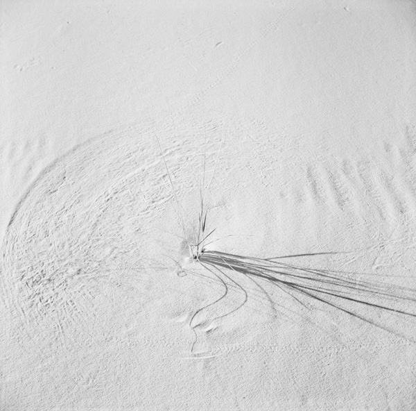 WhiteSands21