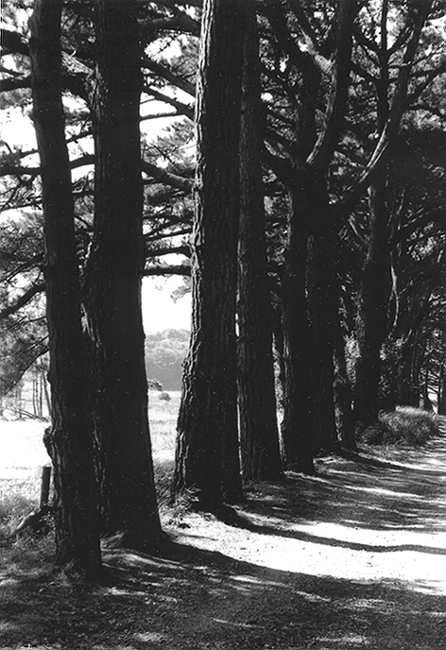 Whitford Point