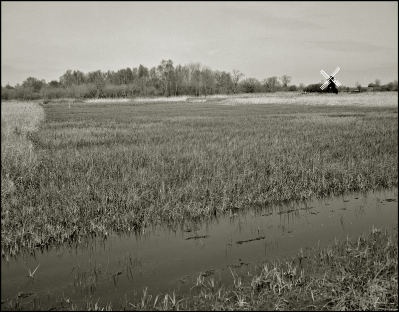 Wicken Fen