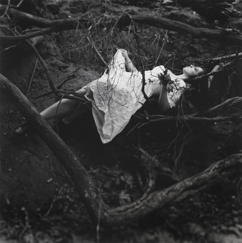 Widow Nest