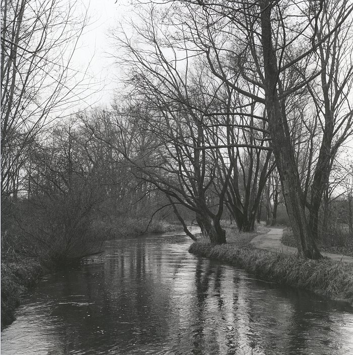 Wiedau III